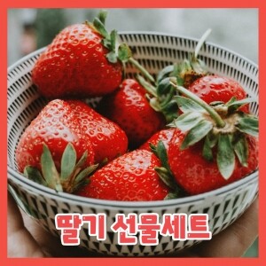딸기선물세트(900g)
